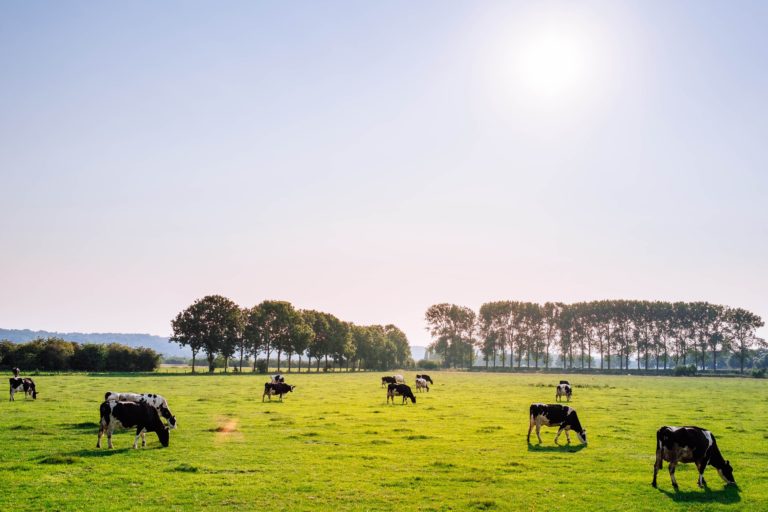 Subsidie agrarische sector Limburg
